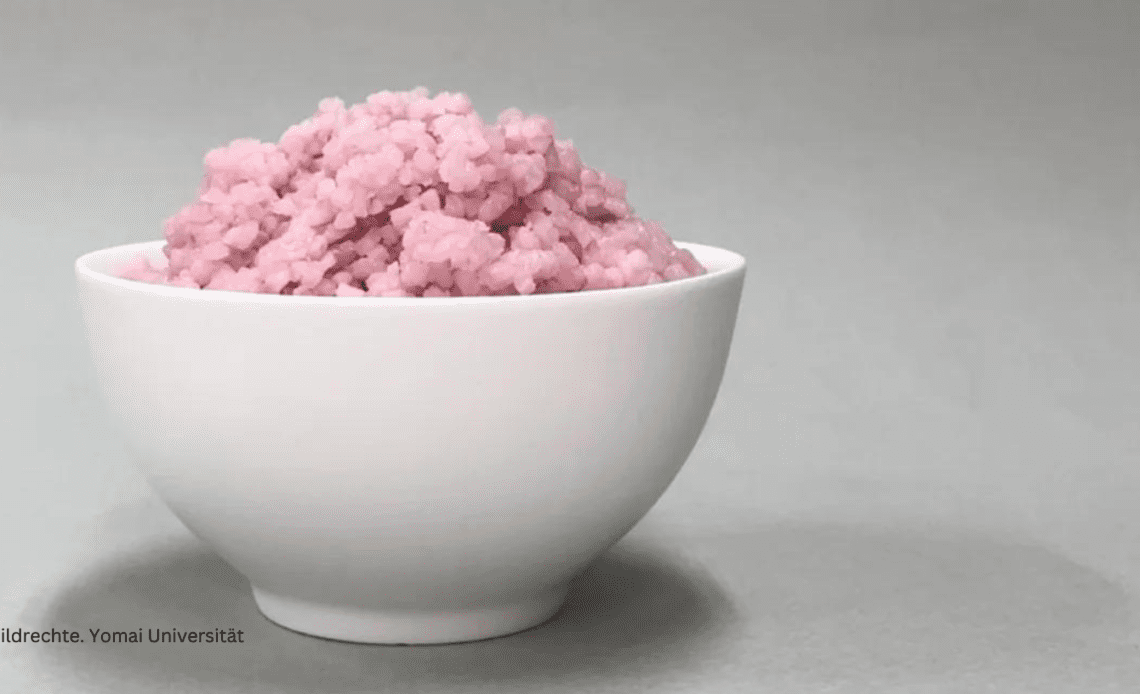 Um neue Proteinquellen zu erschließen, wurde ein Hybrid aus Reis und Fleisch kreiert.